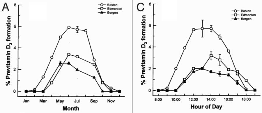vit d bildung haut