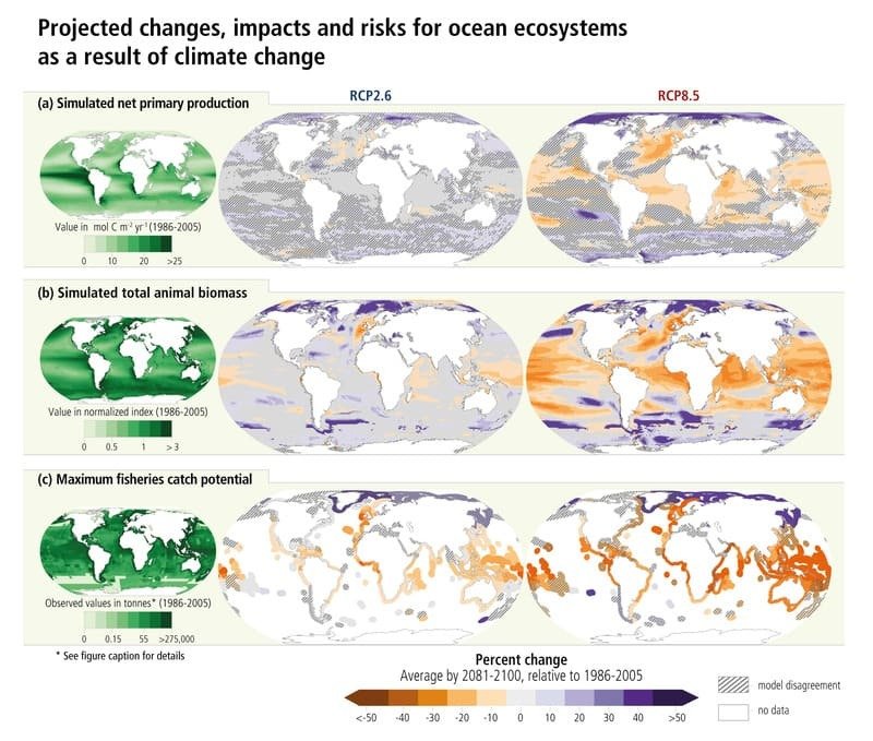 Vegan für die Umwelt co2 fußabdruck fleisch