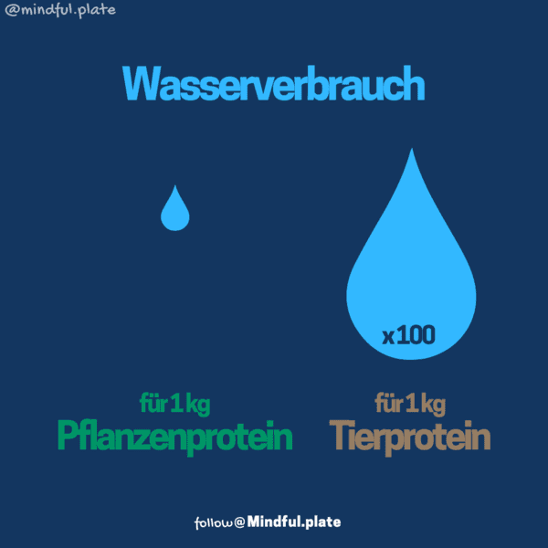 wasserverbrauch protein rindfleisch wasserverbrauch