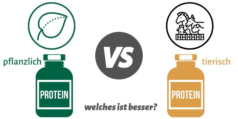 tierisches eiweiß oder pflanzliches